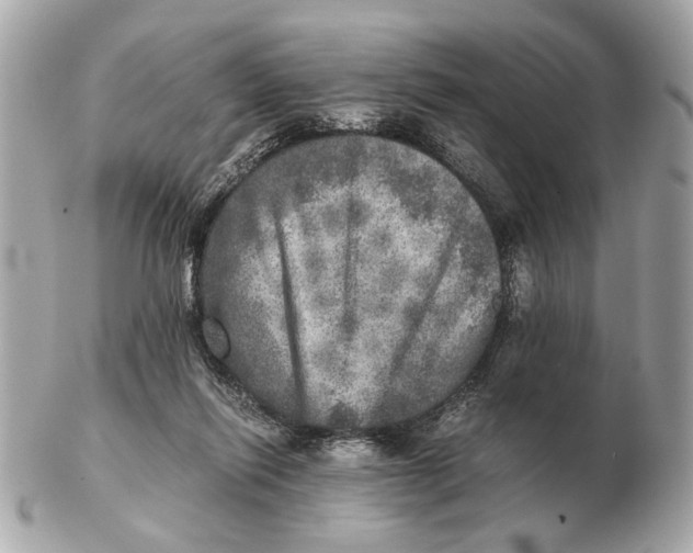 X0000102520262200808291804