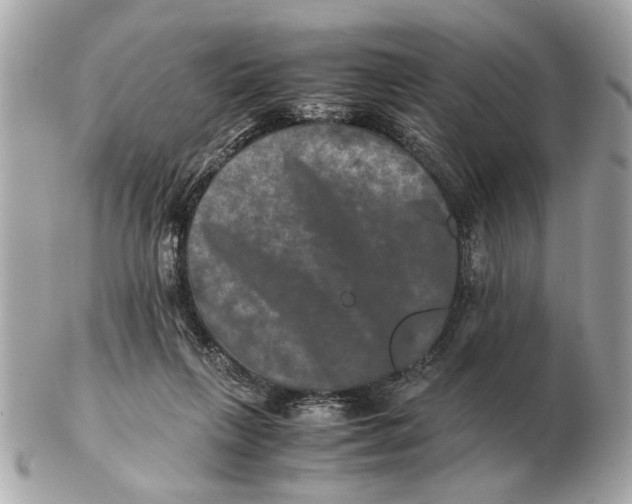 X0000102520263200808291804