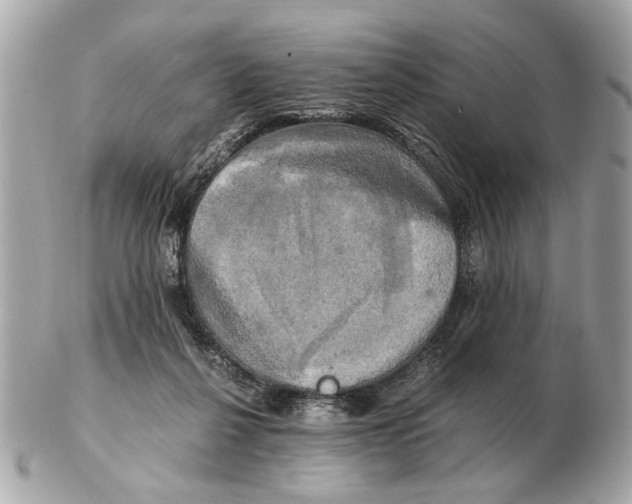 X0000102520264200808291804