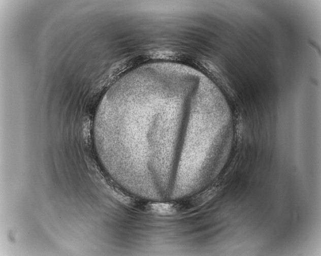 X0000102520265200808291804