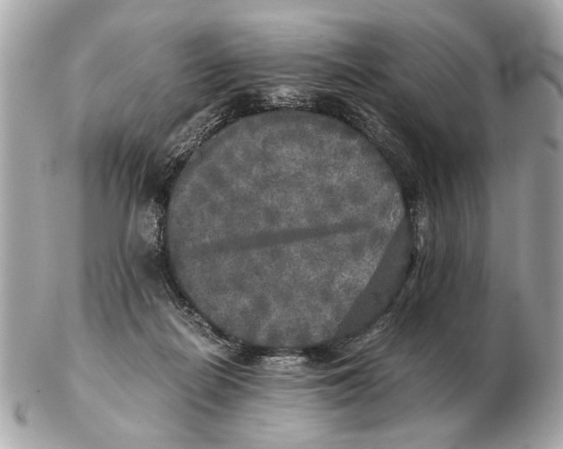 X0000102520266200808291804