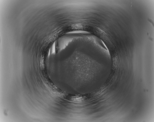 X0000102520267200808291804