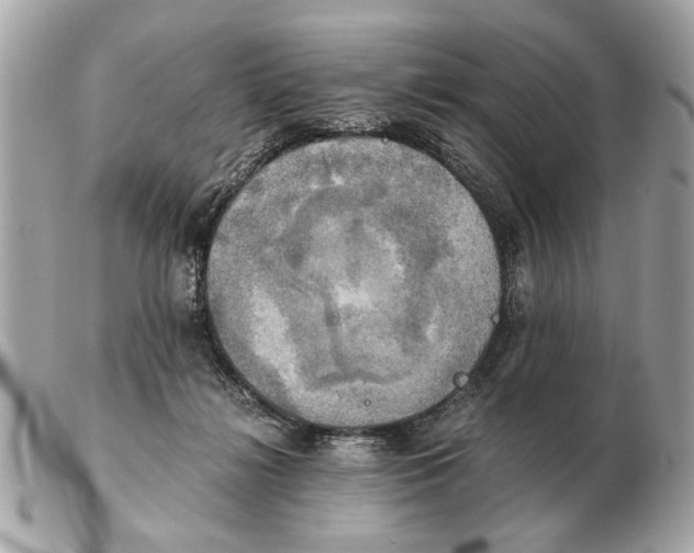 X0000102520268200808291804