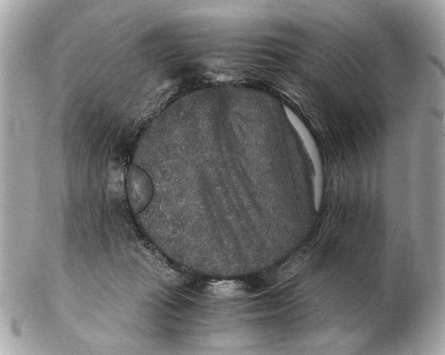 X0000102520269200808291804