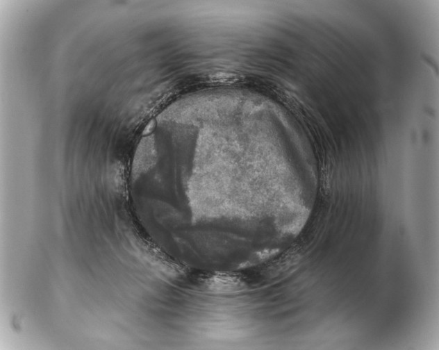 X0000102520270200808291804