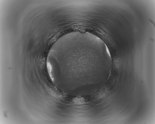 X0000102520271200808291804