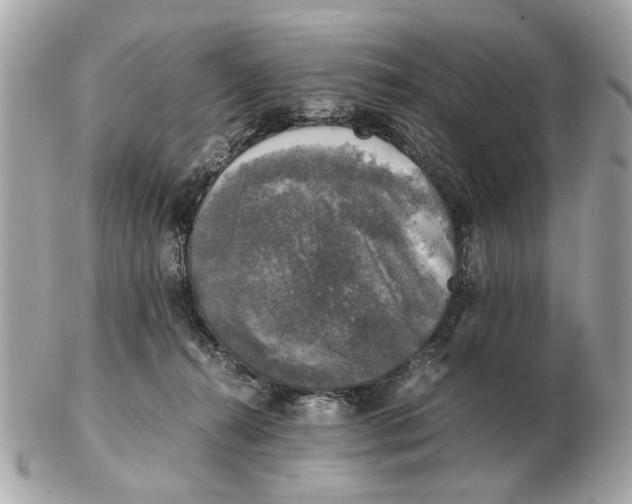 X0000102520272200808291804