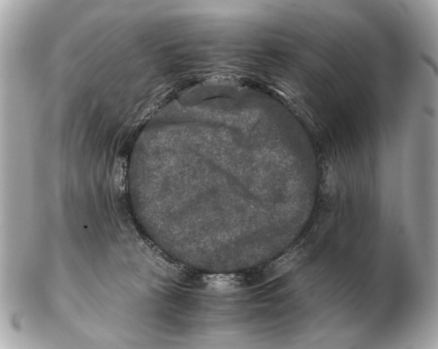 X0000102520273200808291804