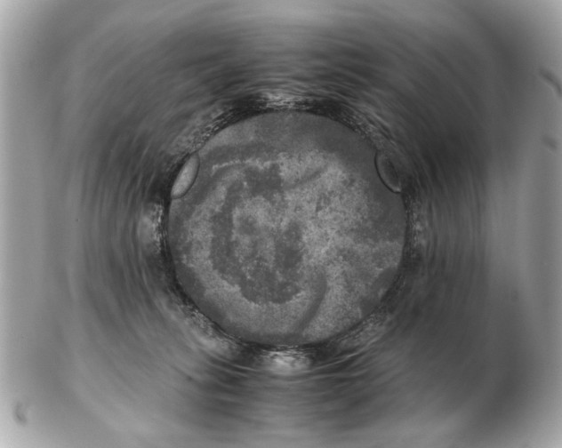 X0000102520275200808291804