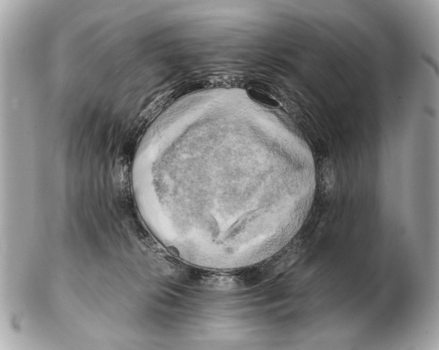 X0000102520276200808291804