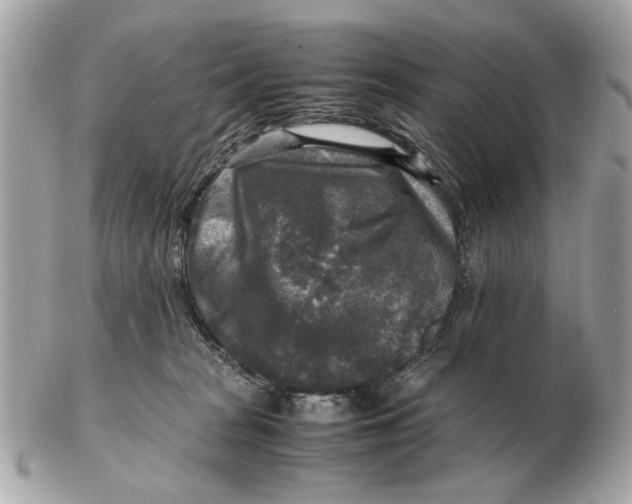 X0000102520277200808291804