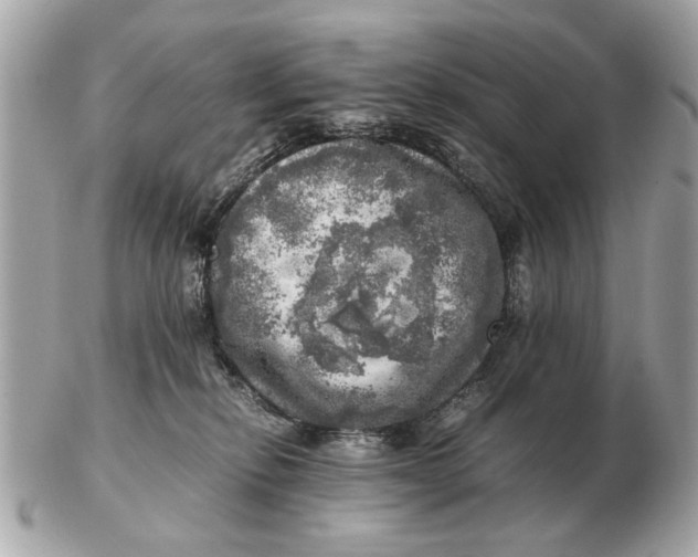 X0000102520278200808291804