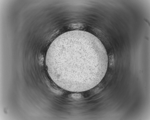 X0000102520279200808291804