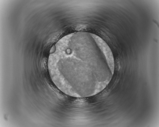 X0000102520280200808291804