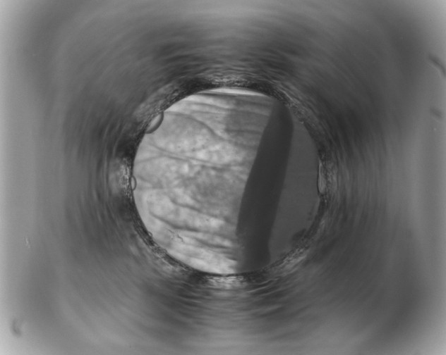 X0000102520281200808291804