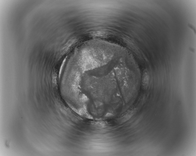 X0000102520282200808291804