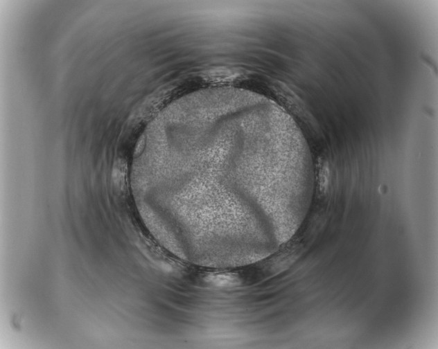 X0000102520283200808291804