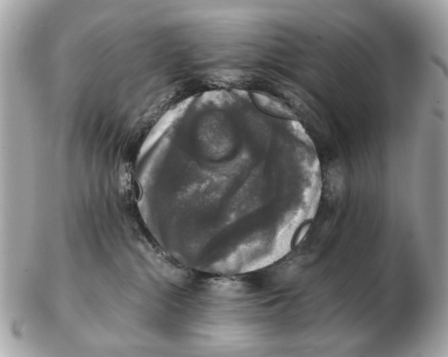 X0000102520284200808291804