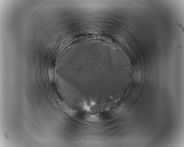 X0000102520285200808291804