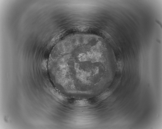 X0000102520286200808291804