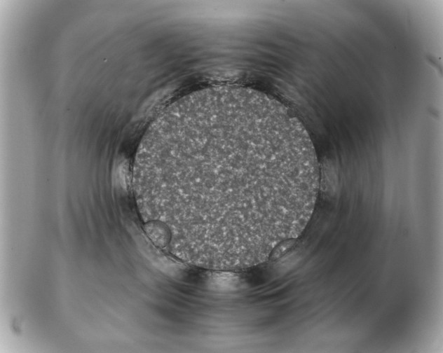 X0000102520287200808291804