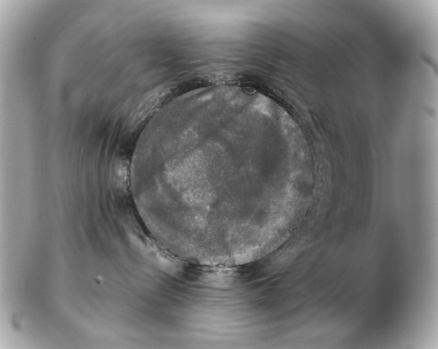 X0000102520288200808291804