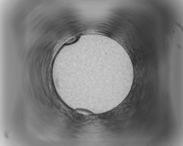 X0000102520289200808291803