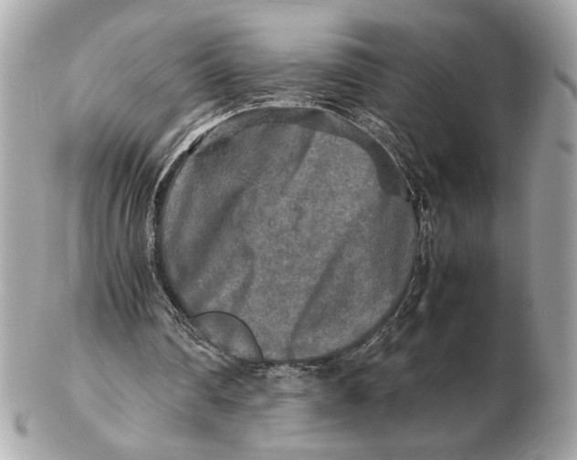 X0000102520290200808291803