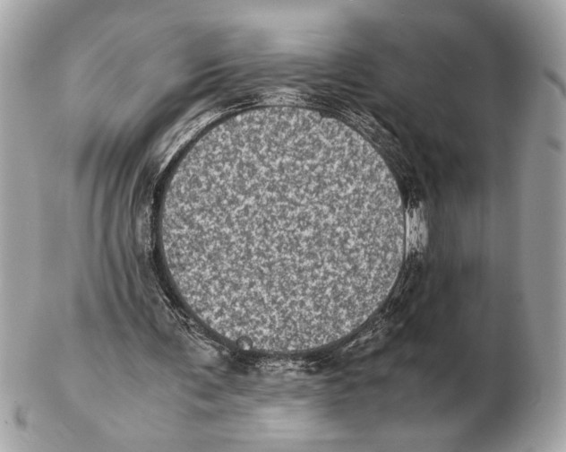 X0000102520291200808291803