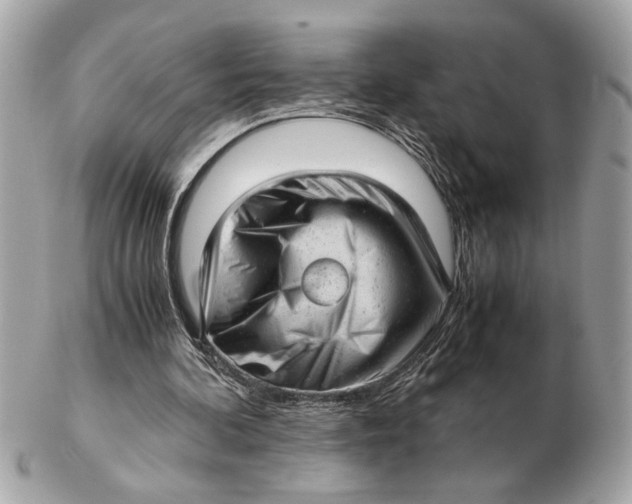 X0000102520292200808291803