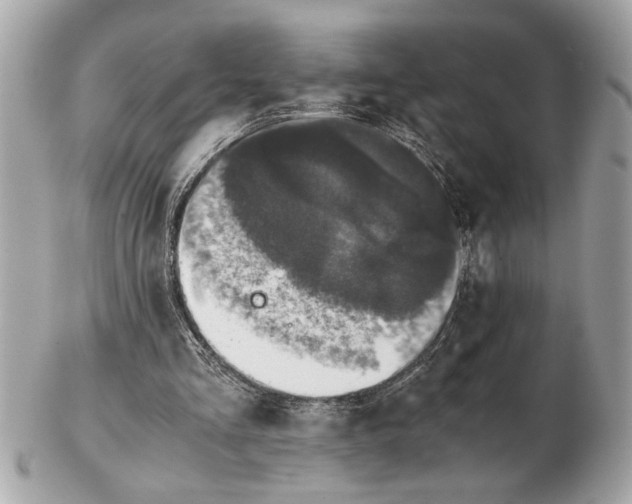 X0000102520293200808291803