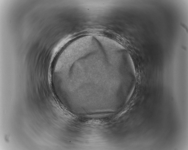 X0000102520294200808291803