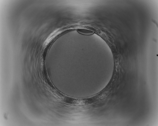 X0000102520295200808291803