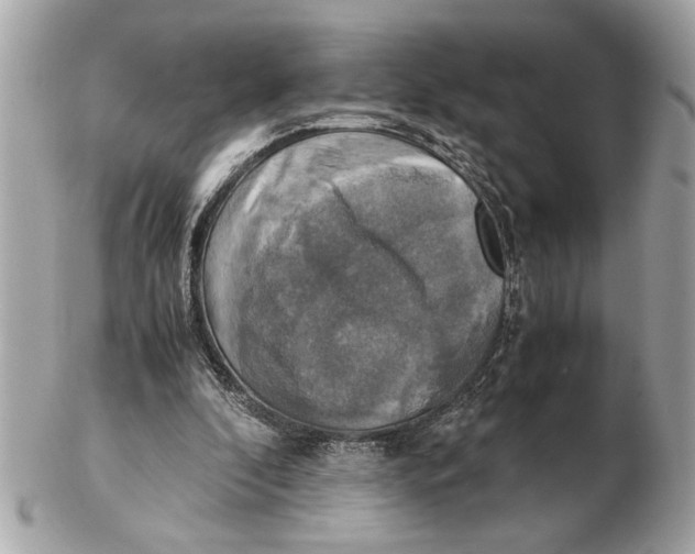 X0000102520296200808291803