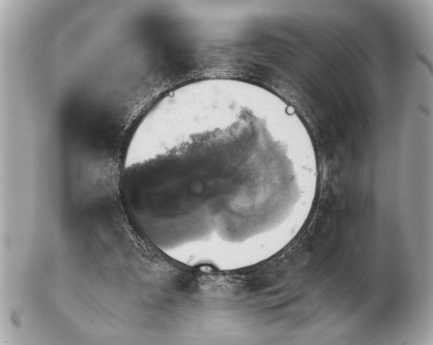 X0000102520297200808291803