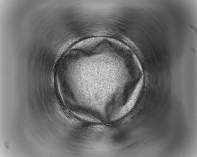 X0000102520298200808291803