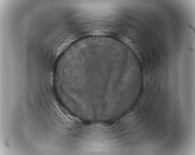 X0000102520299200808291803