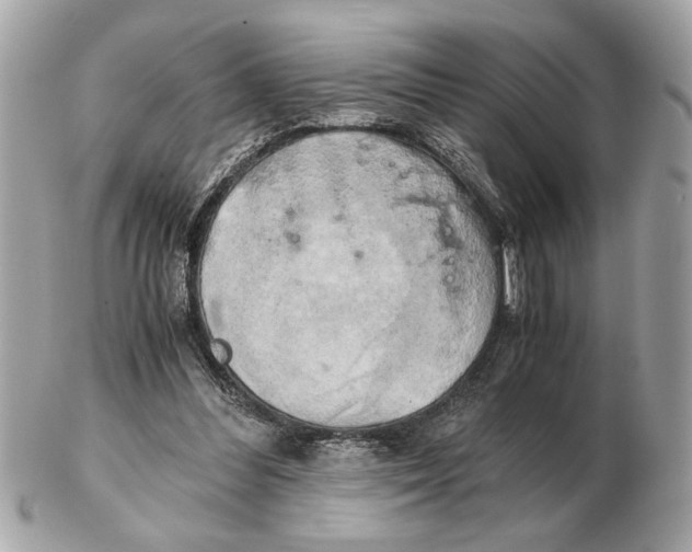 X0000102520300200808291803