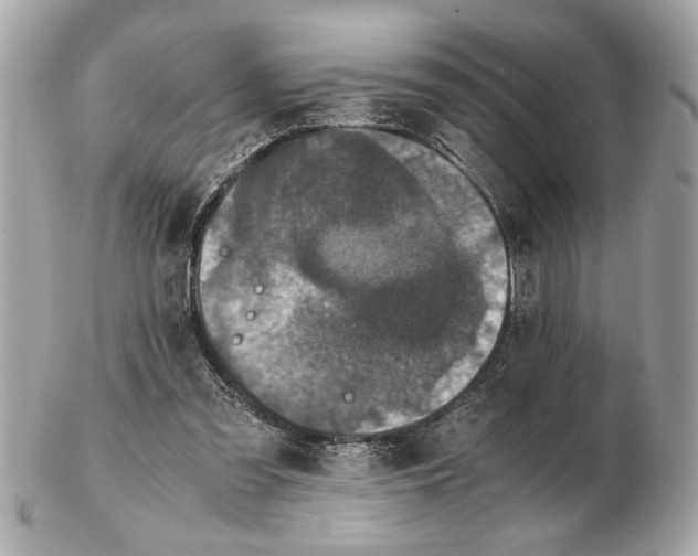 X0000102520301200808291803