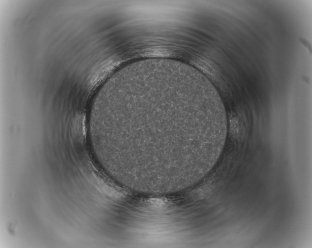 X0000102520302200808291803