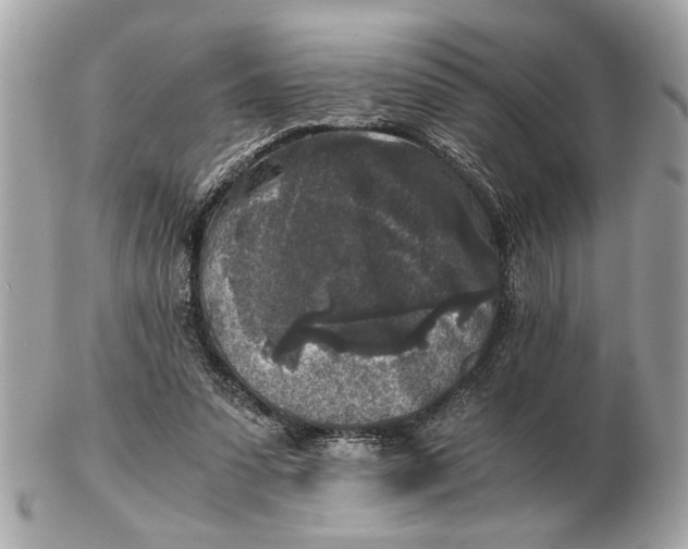 X0000102520303200808291803