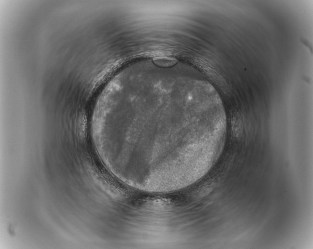 X0000102520304200808291803