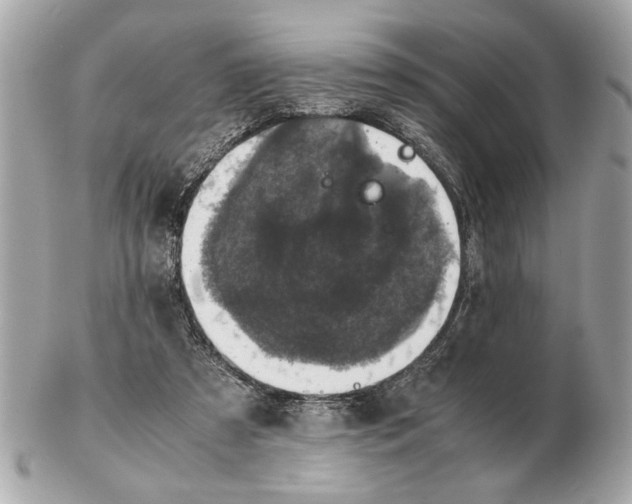 X0000102520305200808291803