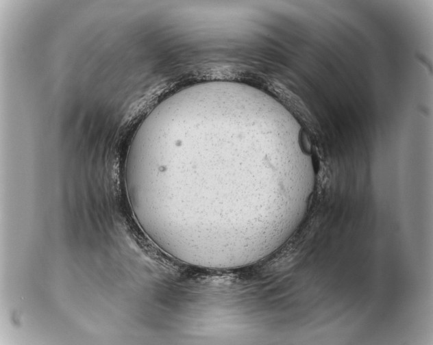 X0000102520306200808291803