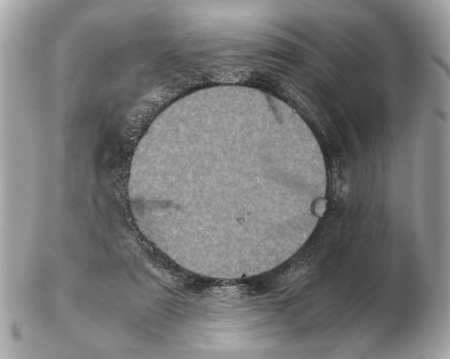 X0000102520307200808291803