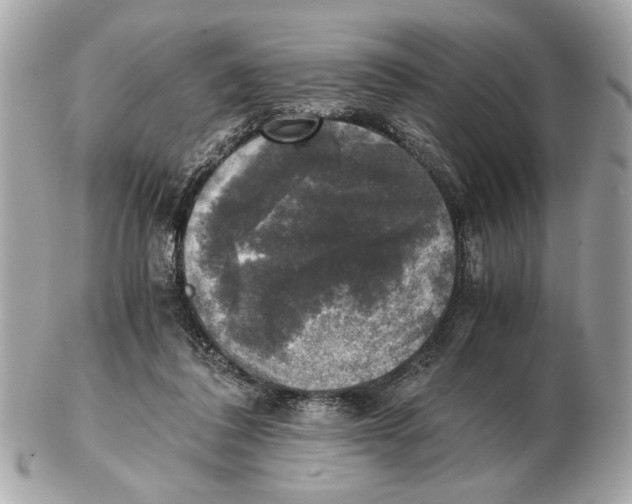 X0000102520308200808291803