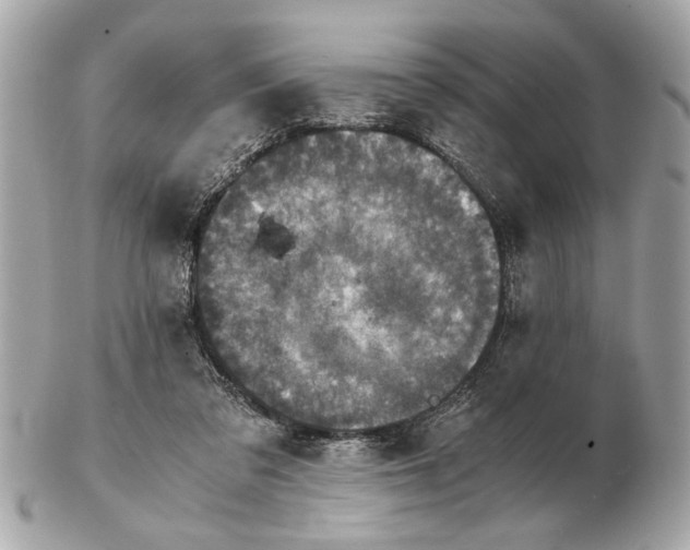 X0000102520309200808291803