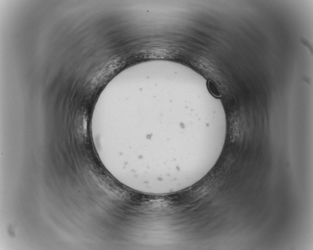 X0000102520310200808291803