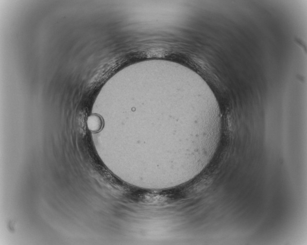 X0000102520311200808291803