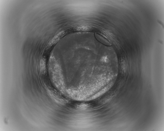 X0000102520312200808291803